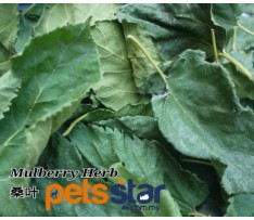 Mulberry Herb 100g